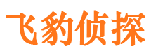 历城私家侦探公司